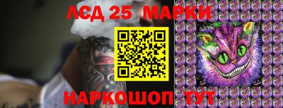 МДПВ Бийск