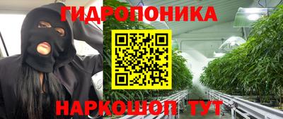 стаф Гулькевичи